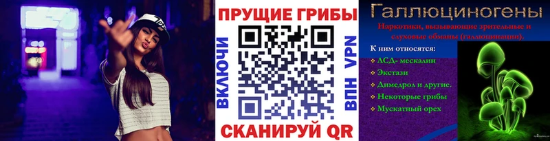 магазин продажи   Пушкино  Псилоцибиновые грибы мицелий 