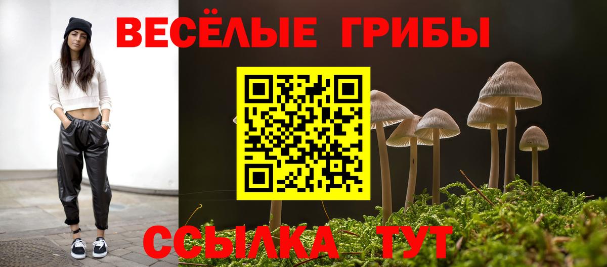 Галлюциногенные грибы Psilocybe Пушкино