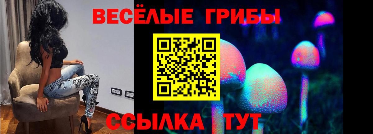 Псилоцибиновые грибы прущие грибы  Вход с VPN  Пушкино 