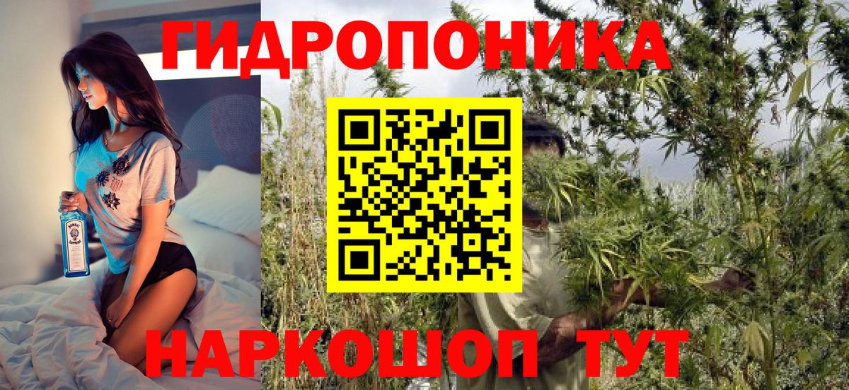 Шишки марихуана ГИДРОПОН  МАРИХУАНА THC 21%  Вход с VPN  Пушкино  Бошки марихуана OG Kush  Канабис планчик 